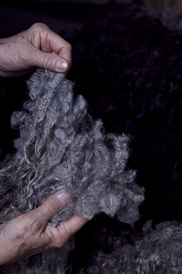 pashmina vrai laine veritable