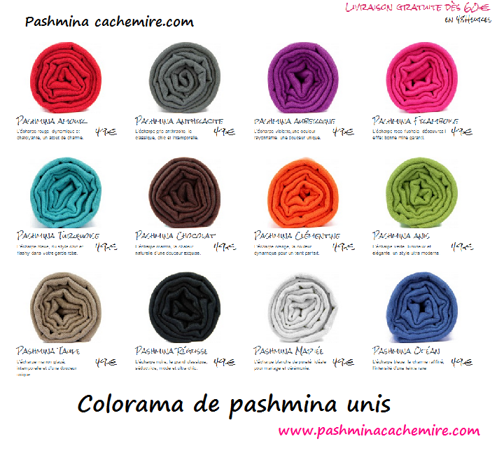 pashmina cachemire