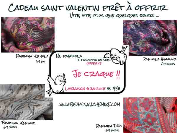 https://www.pashminacachemire.com/blog/wp-content/uploads/2014/02/idee-cadeau-saint-valentin-derniere-minute.jpg